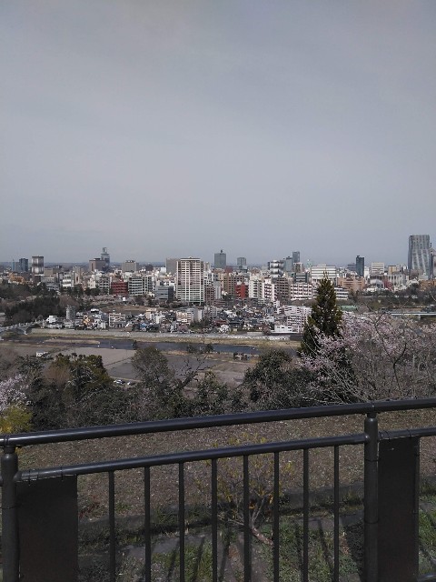 f:id:cinukarkamuy:20241206001029j:image