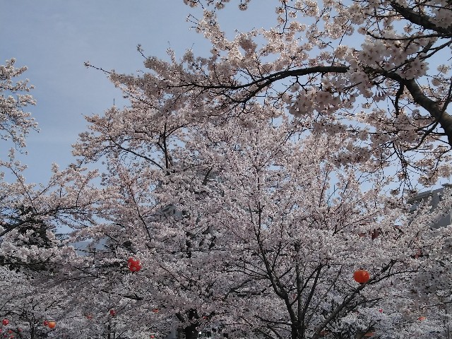 f:id:cinukarkamuy:20241206001246j:image