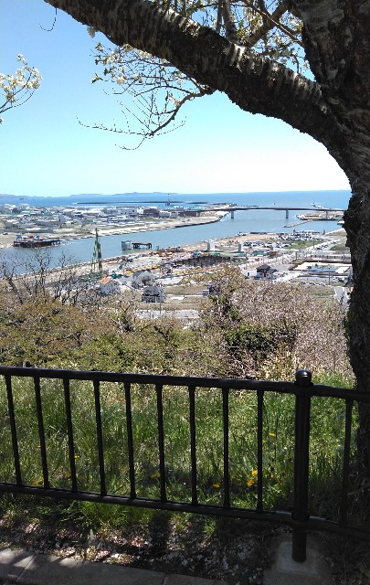 f:id:cinukarkamuy:20241206002015j:image