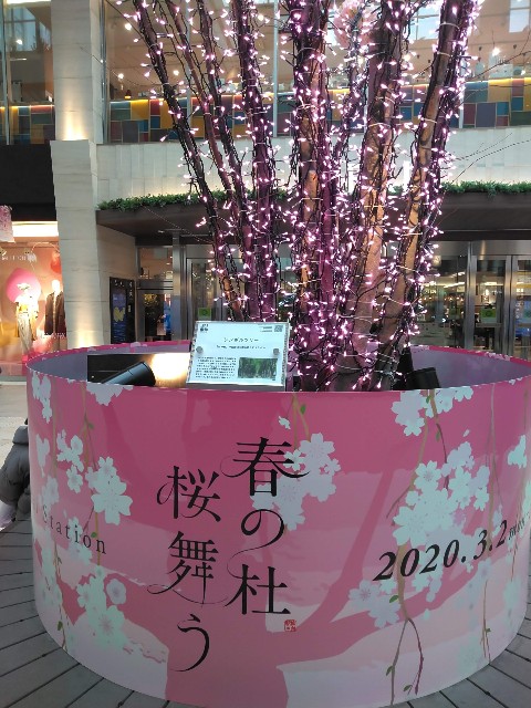 f:id:cinukarkamuy:20241206005355j:image