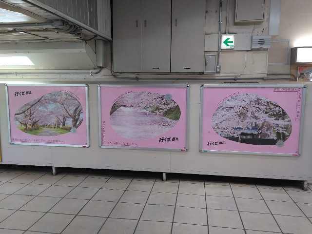 f:id:cinukarkamuy:20241206005618j:image