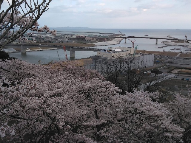 f:id:cinukarkamuy:20241206114621j:image