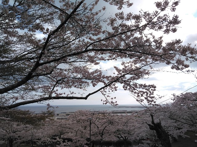 f:id:cinukarkamuy:20241206115007j:image