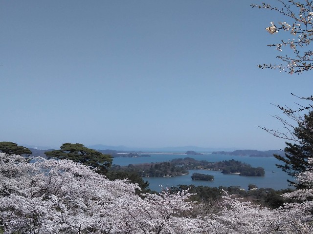 f:id:cinukarkamuy:20241206122654j:image