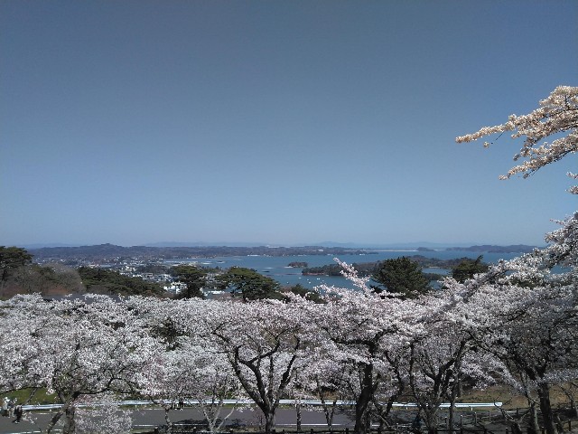 f:id:cinukarkamuy:20241206122841j:image