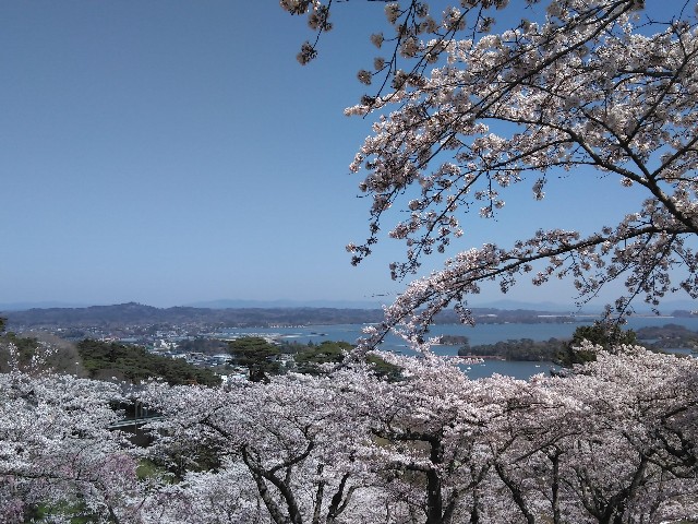 f:id:cinukarkamuy:20241206122930j:image