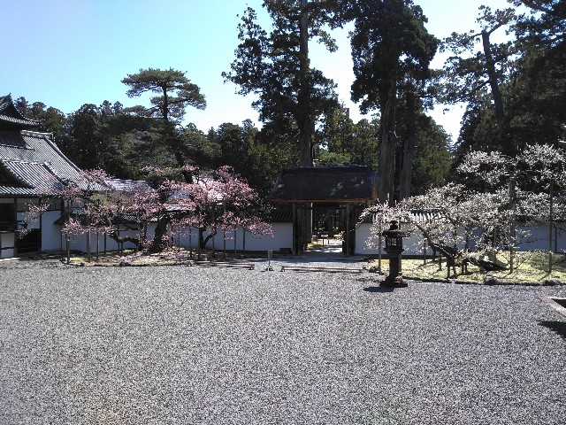 f:id:cinukarkamuy:20241206132429j:image
