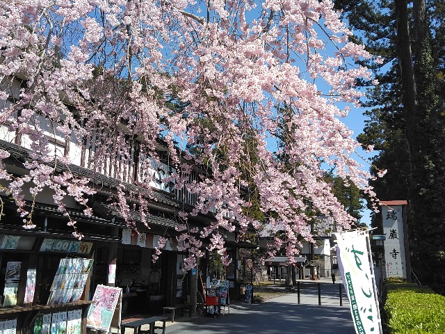 f:id:cinukarkamuy:20241206132542j:image