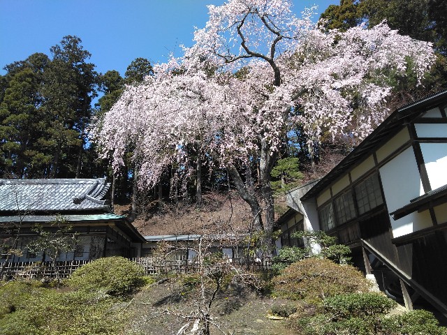 f:id:cinukarkamuy:20241206132656j:image
