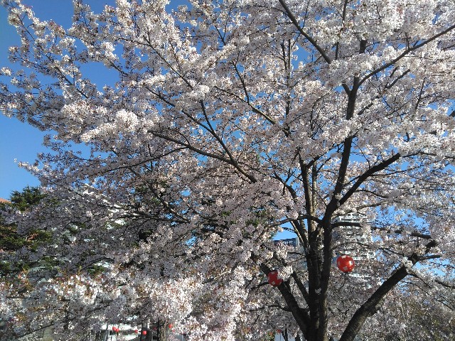 f:id:cinukarkamuy:20241206174206j:image