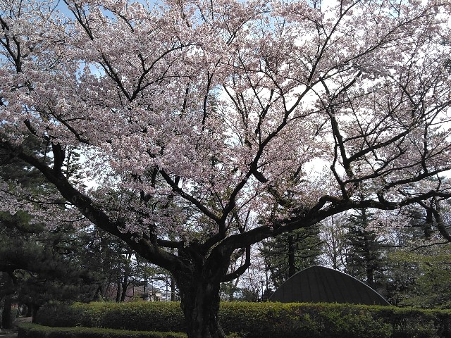 f:id:cinukarkamuy:20241206174523j:image