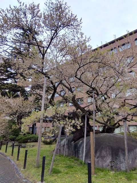 f:id:cinukarkamuy:20241206225655j:image