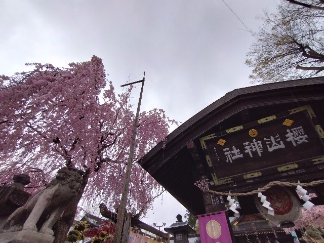 f:id:cinukarkamuy:20241206231135j:image