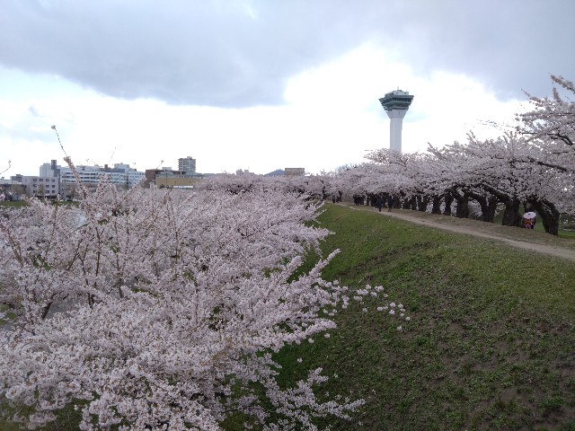 f:id:cinukarkamuy:20241206232311j:image