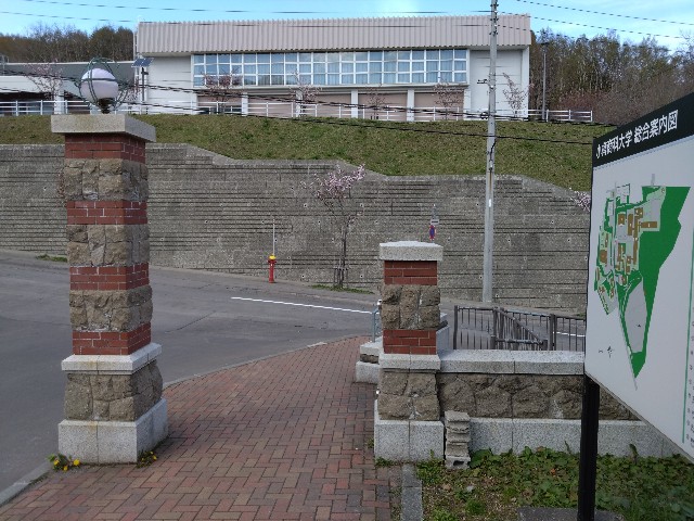 f:id:cinukarkamuy:20241206233717j:image