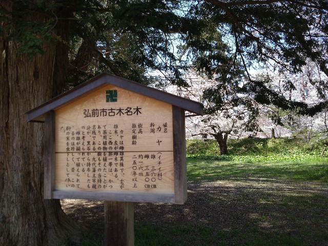 f:id:cinukarkamuy:20241207234053j:image