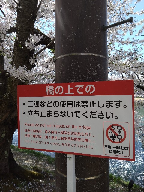 f:id:cinukarkamuy:20241207234530j:image