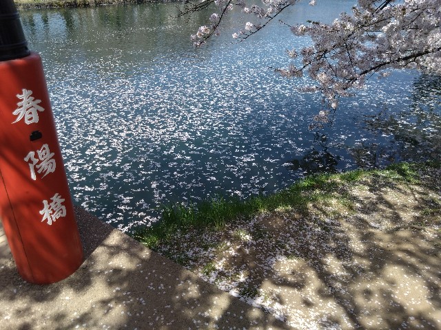 f:id:cinukarkamuy:20241207235010j:image