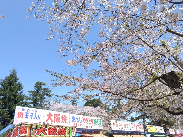 f:id:cinukarkamuy:20241207235209j:image