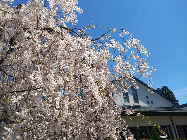 f:id:cinukarkamuy:20241208001548j:image
