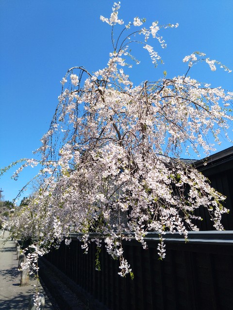 f:id:cinukarkamuy:20241208001624j:image