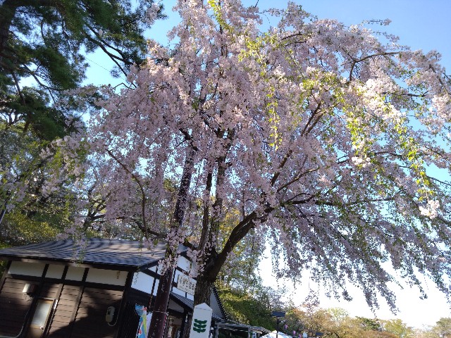 f:id:cinukarkamuy:20241208001929j:image