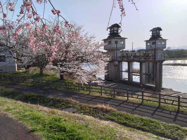 f:id:cinukarkamuy:20241208121227j:image