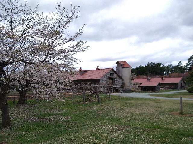 f:id:cinukarkamuy:20241208122929j:image