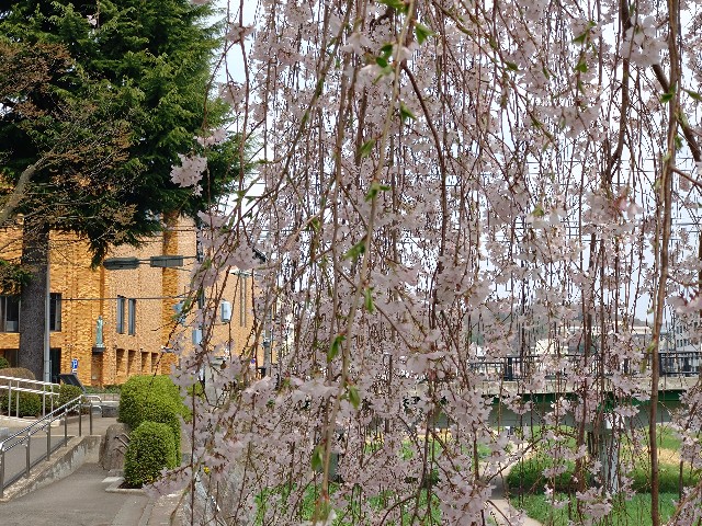 f:id:cinukarkamuy:20241208123602j:image