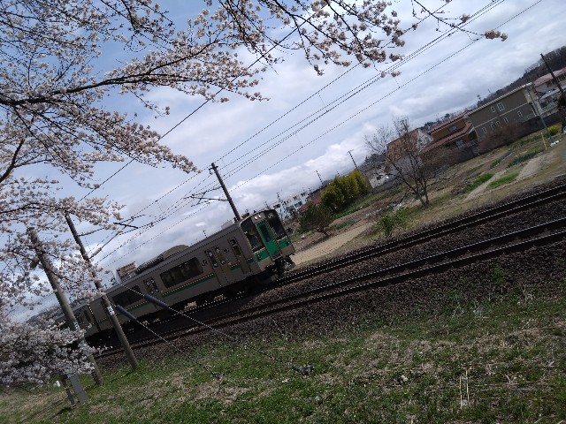 f:id:cinukarkamuy:20241208212614j:image