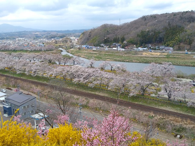 f:id:cinukarkamuy:20241208212736j:image