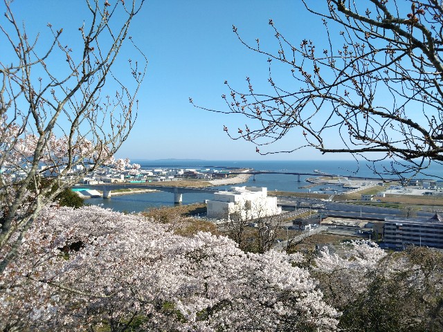 f:id:cinukarkamuy:20241208213047j:image