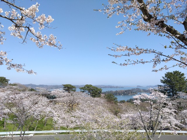 f:id:cinukarkamuy:20241208213958j:image