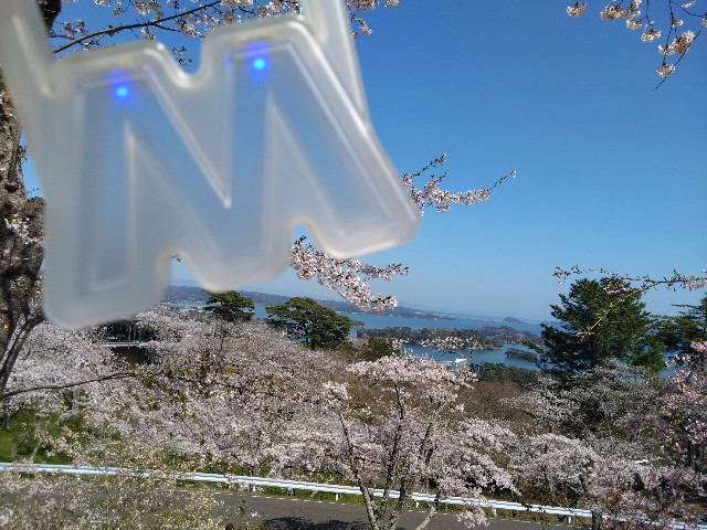 f:id:cinukarkamuy:20241208214035j:image