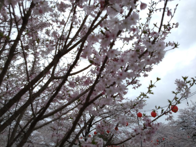 f:id:cinukarkamuy:20241208214536j:image