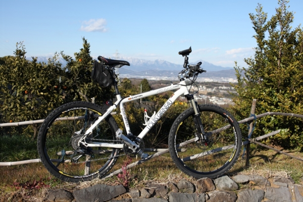 f:id:cippillo:20100226121539j:image