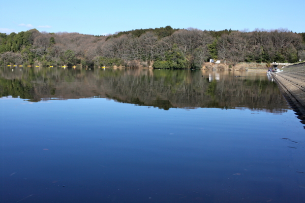 f:id:cippillo:20110329093826j:image
