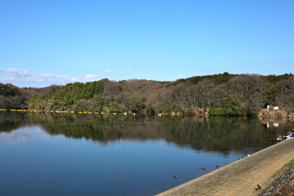 f:id:cippillo:20110329093827j:image