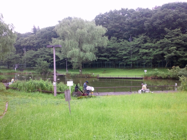 f:id:cippillo:20110706123354j:image