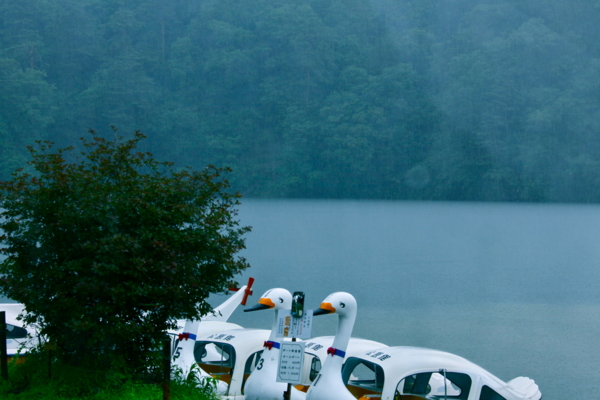 f:id:cippillo:20110714135819j:image