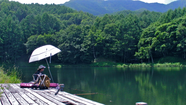 f:id:cippillo:20110714135820j:image