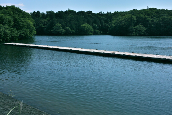 f:id:cippillo:20110715113354j:image