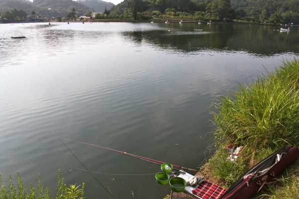 f:id:cippillo:20110729122925j:image