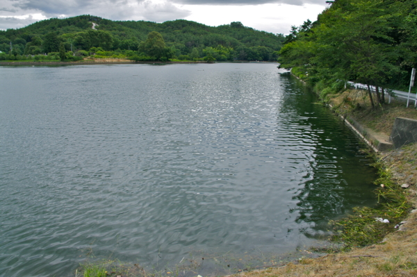 f:id:cippillo:20110729122926j:image