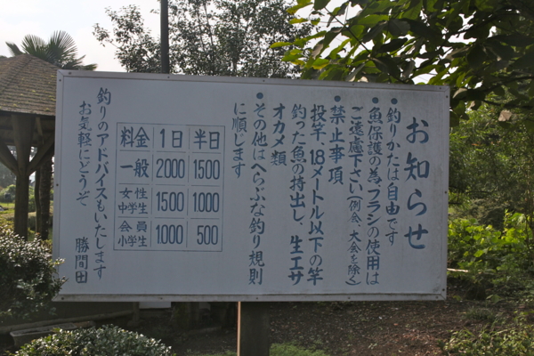 f:id:cippillo:20110901221727j:image