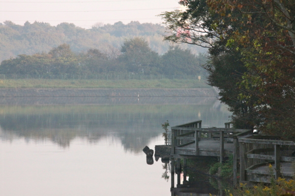 f:id:cippillo:20111112133747j:image