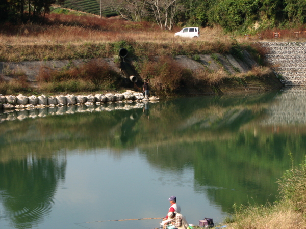 f:id:cippillo:20111120202150j:image