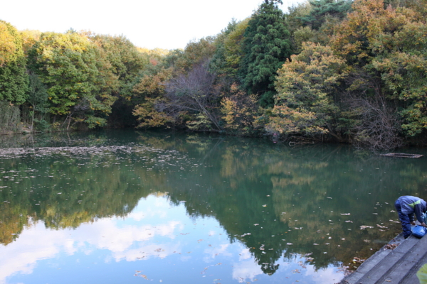 f:id:cippillo:20111225201801j:image