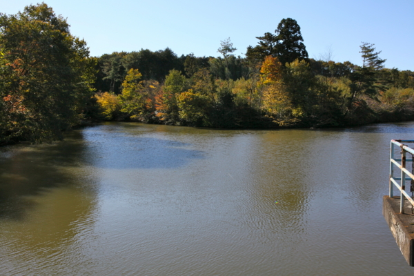 f:id:cippillo:20111225202829j:image