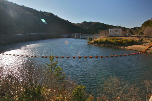 f:id:cippillo:20120105160709j:image
